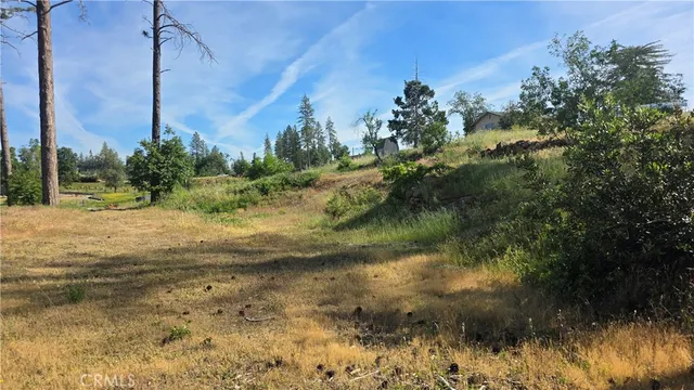 a view of a yard with a tree
