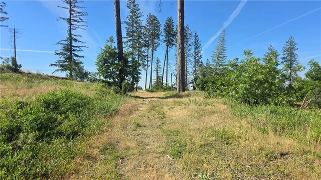 a view of backyard with green space