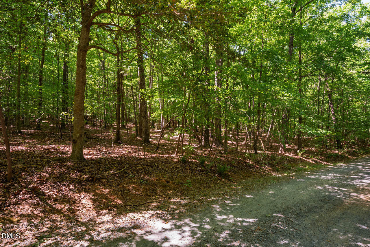 0 Hawes Road Hillsborough, NC 27278 - Photo 13 of 20 HawesRd-008