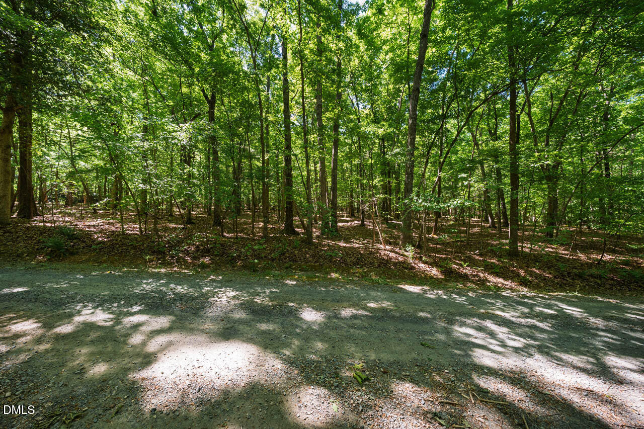 0 Hawes Road Hillsborough, NC 27278 - Photo 18 of 20 HawesRd-011