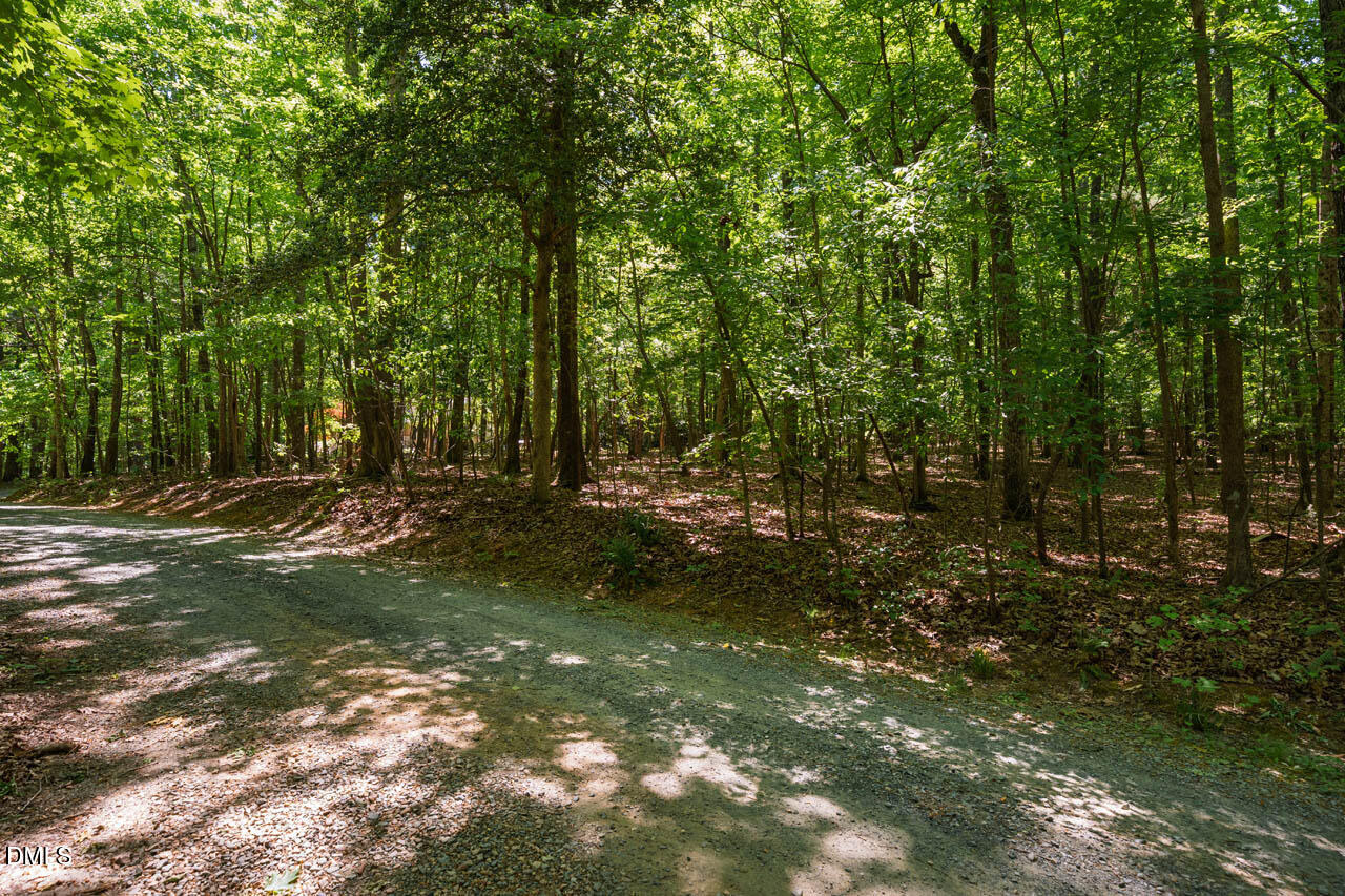 0 Hawes Road Hillsborough, NC 27278 - Photo 19 of 20 HawesRd-010