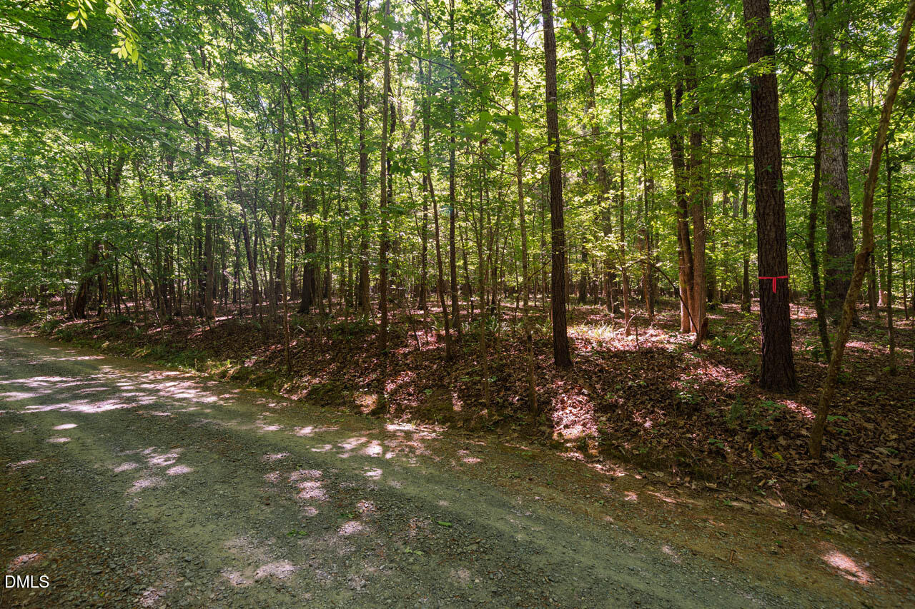 0 Hawes Road Hillsborough, NC 27278 - Photo 6 of 20 HawesRd-001