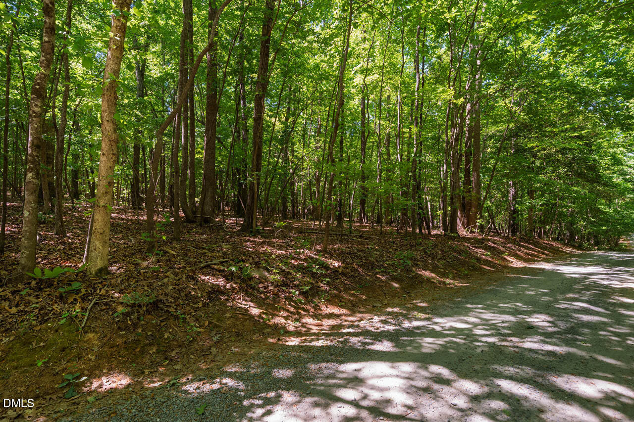 0 Hawes Road Hillsborough, NC 27278 - Photo 10 of 20 HawesRd-005