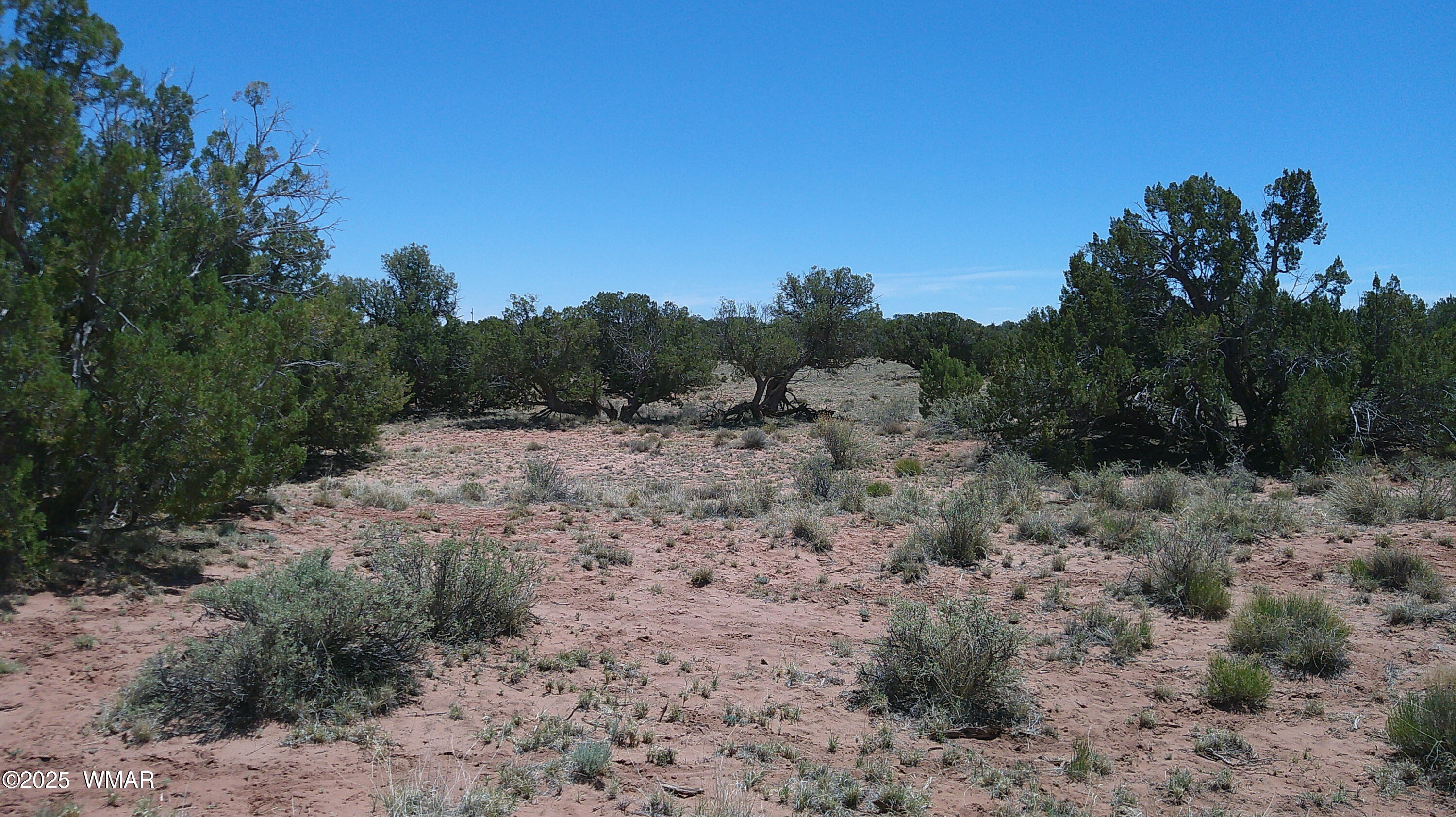 Tbd Tbd Rio Ranch Concho, AZ 85924 - Photo 28 of 44 DSCF0044