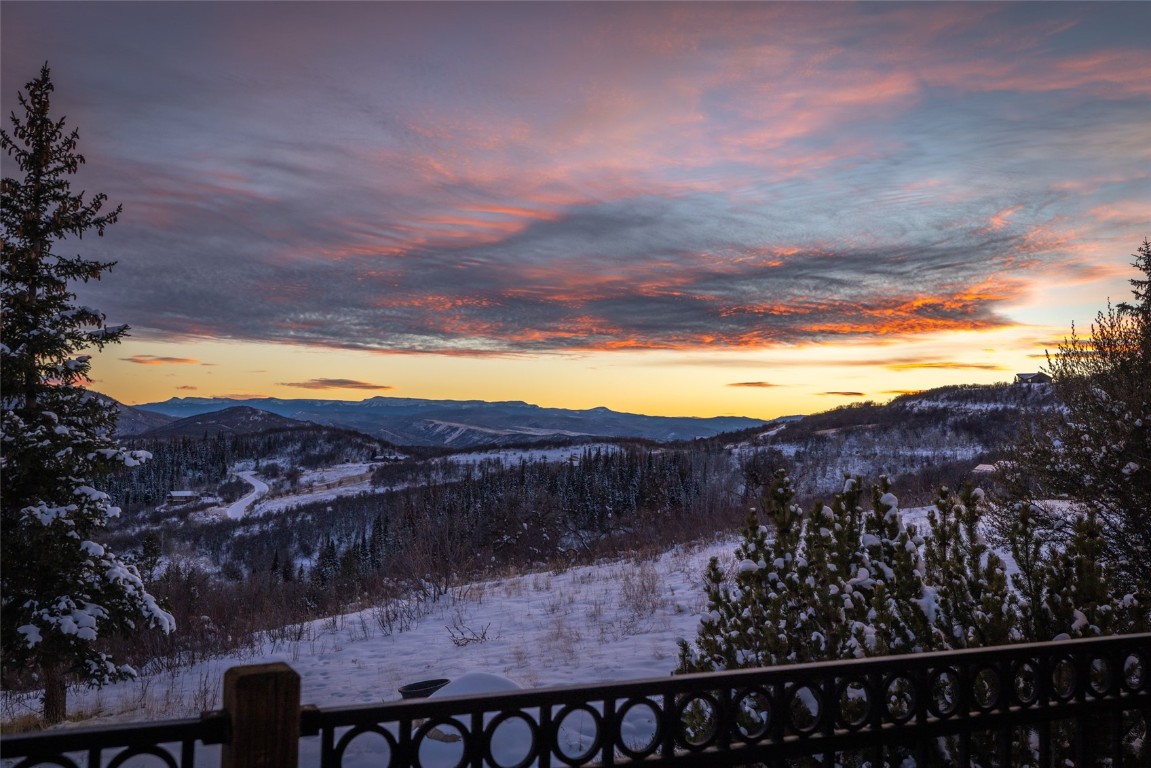 32790 Hidden Pond Path Steamboat Springs, CO 80487 - Photo 17 of 31 a view of a backyard and a yard