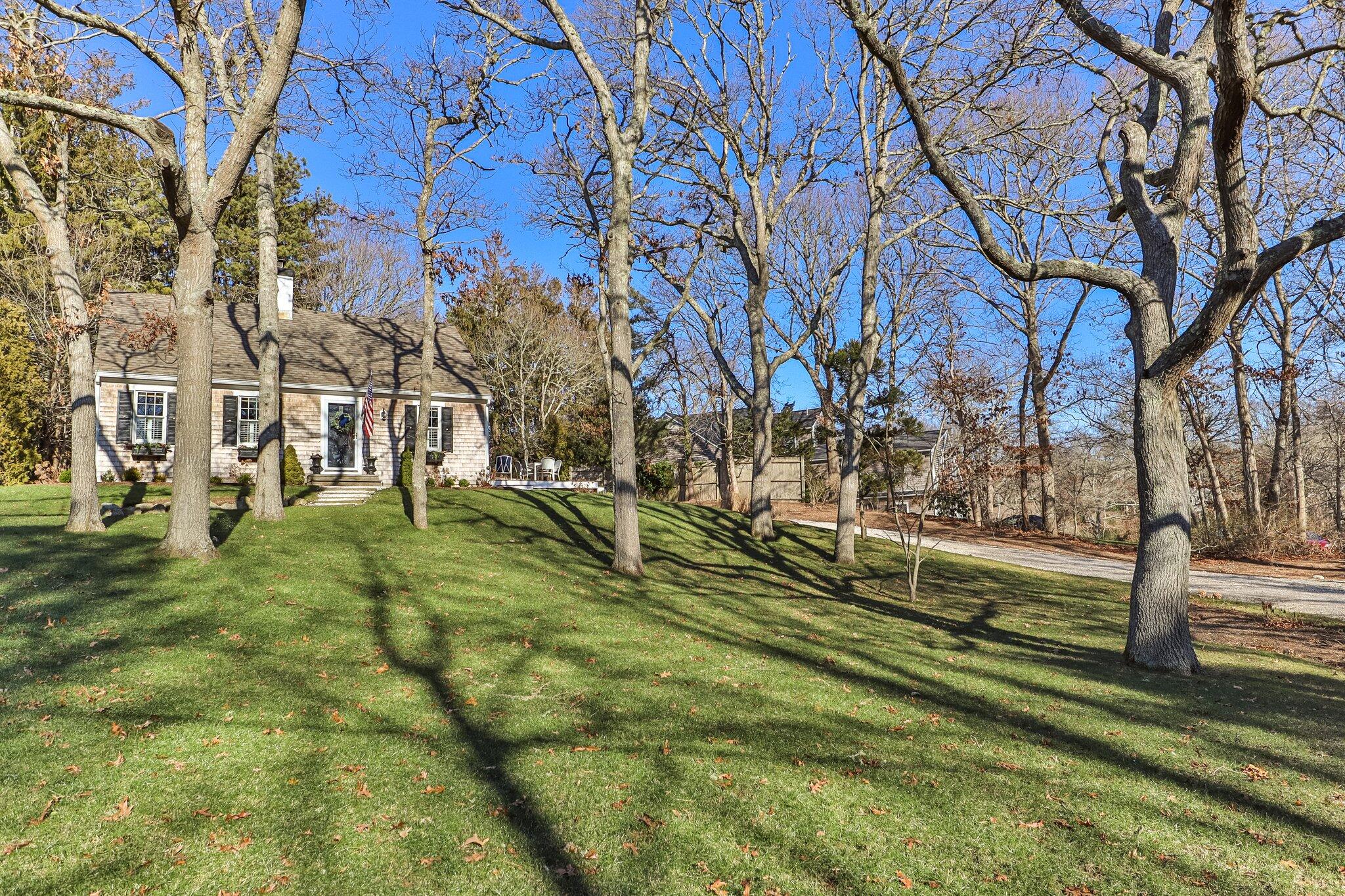 76 Headwaters Road Centerville, MA 02632 - Photo 4 of 53 a view of yard with tree