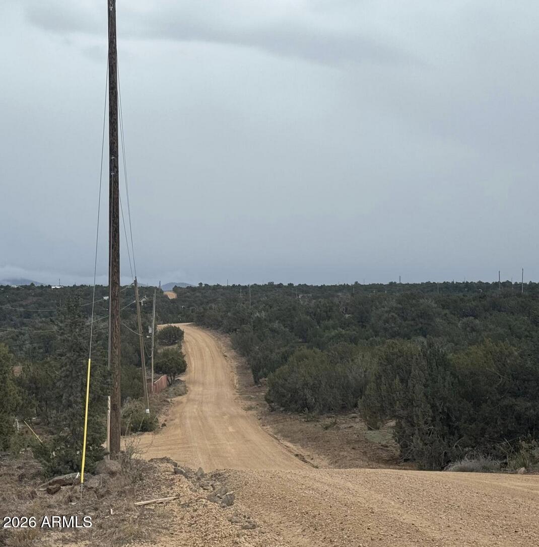 3 Acr 8128 Road, Unit 250 Concho, AZ 85924 - Photo 2 of 3