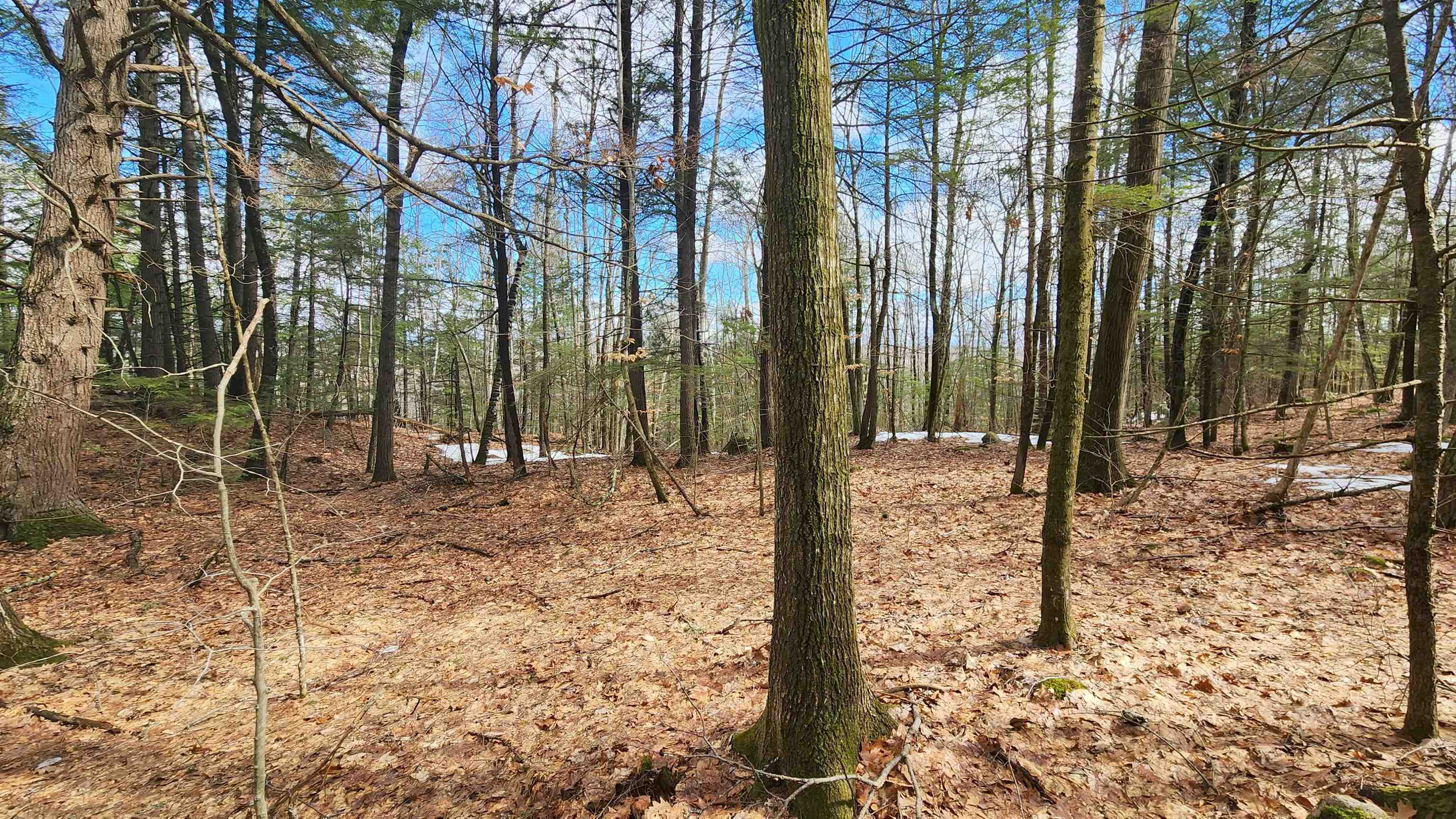 231 Valley Road New Durham, NH 03855 - Photo 17 of 19