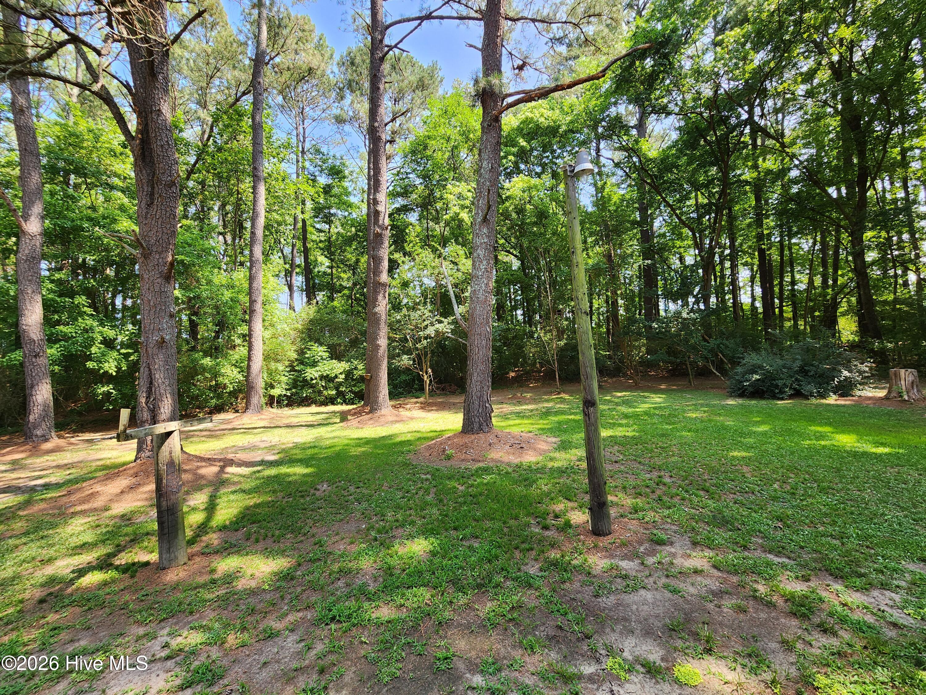 246 Grabtown Road Windsor, NC 27983 - Photo 18 of 18