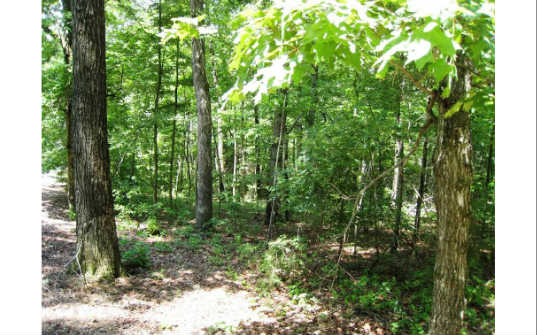 21 Toccoa Preserve Blue Ridge Blue Ridge, GA 30513 - Photo 1 of 1 Main View