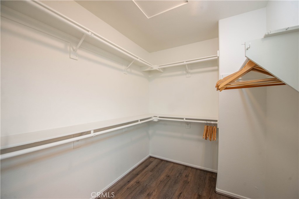 25829 Blake Court Stevenson Ranch, CA 91381 - Photo 24 of 33 Primary Walk In Closet