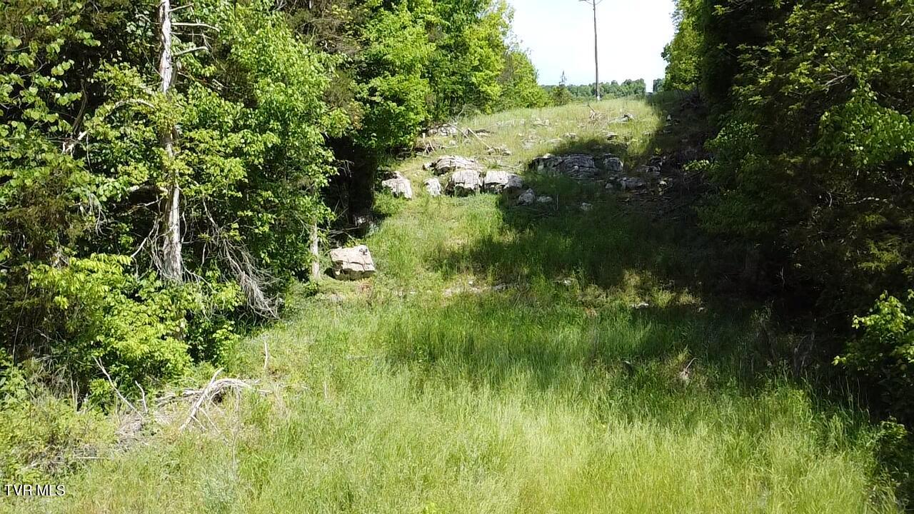 Tbd Sugar Run Road Jonesville, VA 24263 - Photo 6 of 13 2026-05-15-11-40-38-760