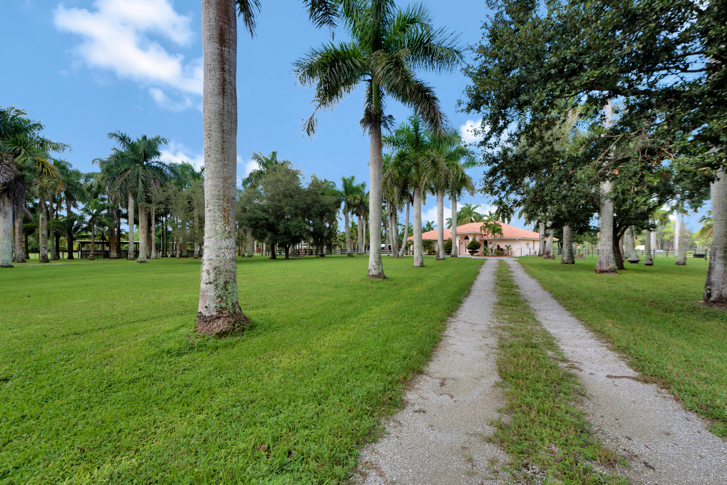 2379 B Road Loxahatchee Groves, FL 33470 - Photo 8 of 21 Driveway to Main House