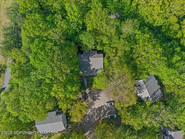 a view of a garden with a building in background