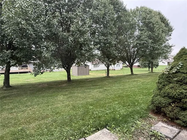 a view of field with trees
