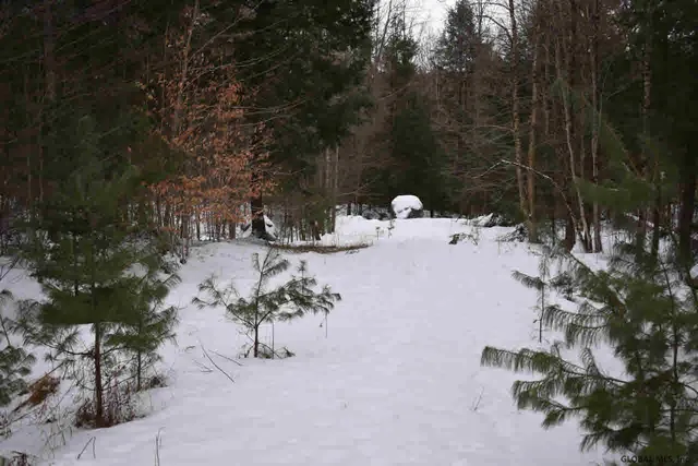 $62,000 | 62 Carriage Road, Chestertown, NY 12817