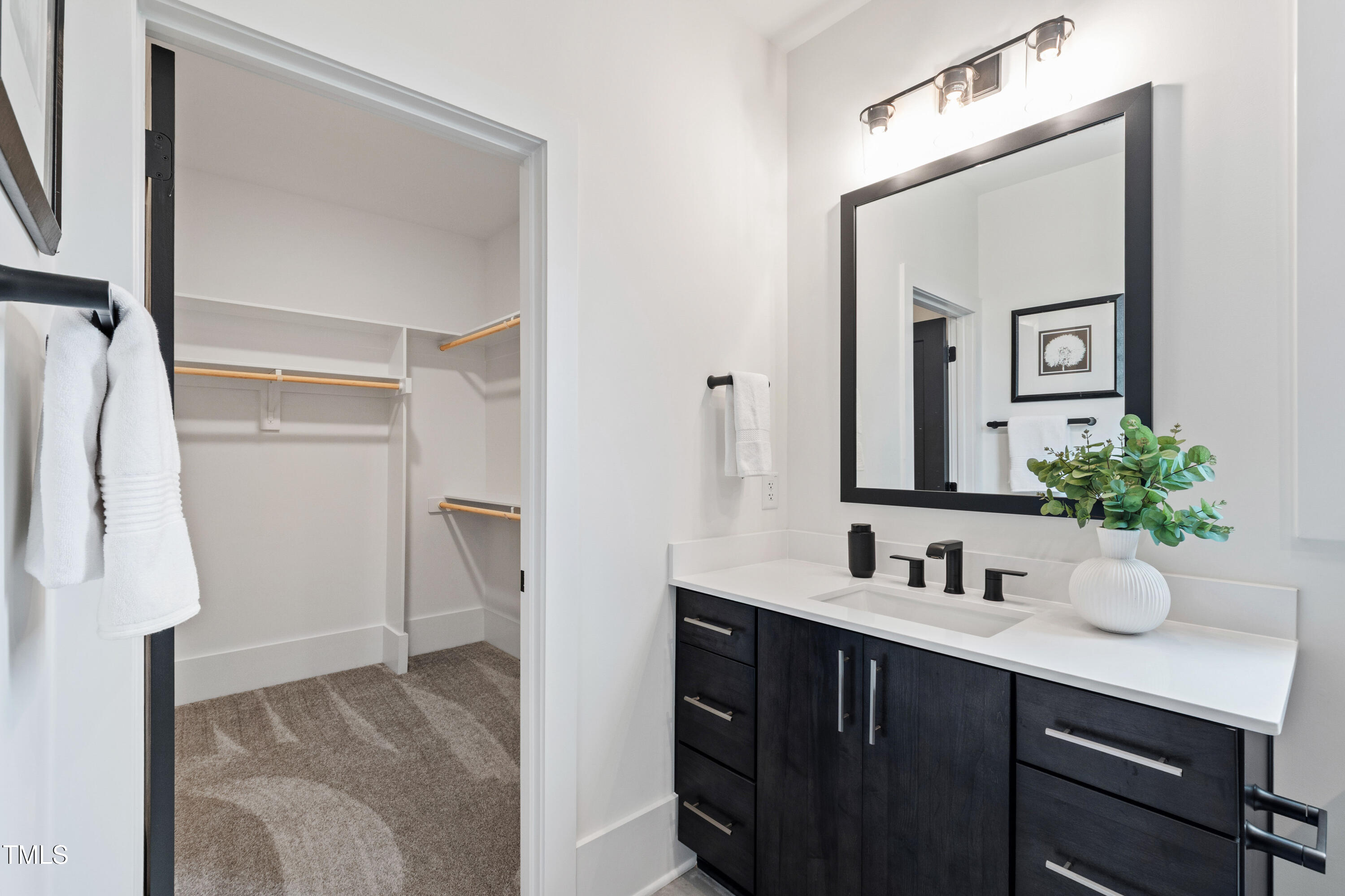 280 Forest Bridge Road Franklinton, NC 27525 - Photo 23 of 65 a bathroom with a sink and a mirror