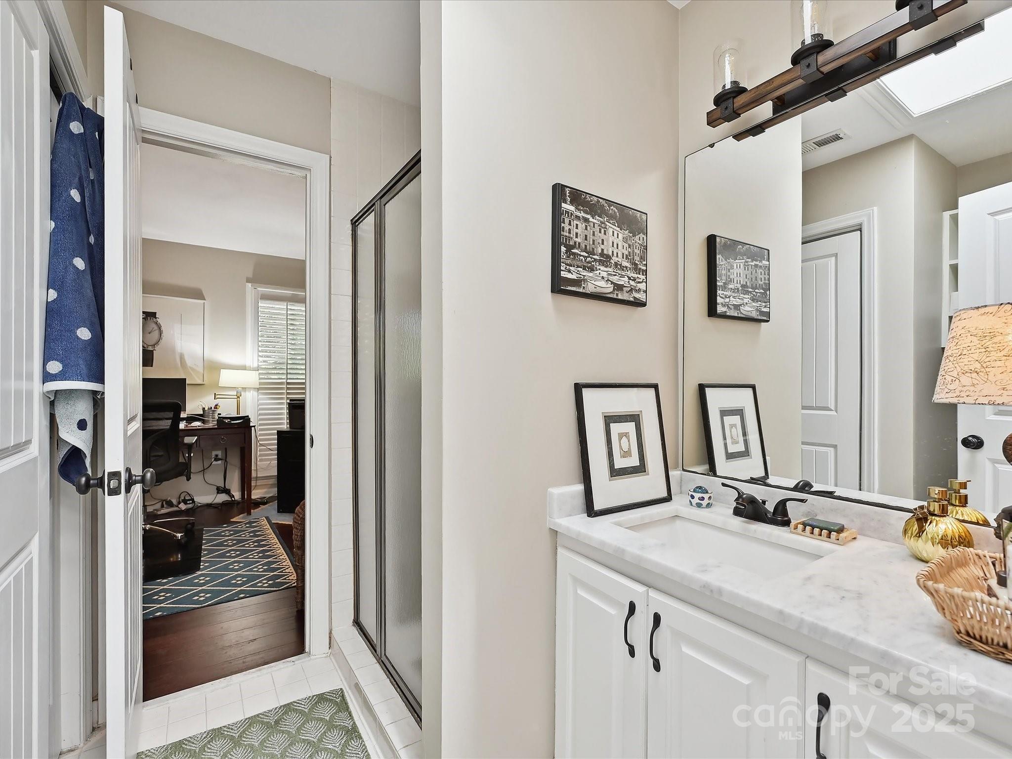 169 Spring Run Road Mooresville, NC 28117 - Photo 23 of 41 a bathroom with a sink and a mirror
