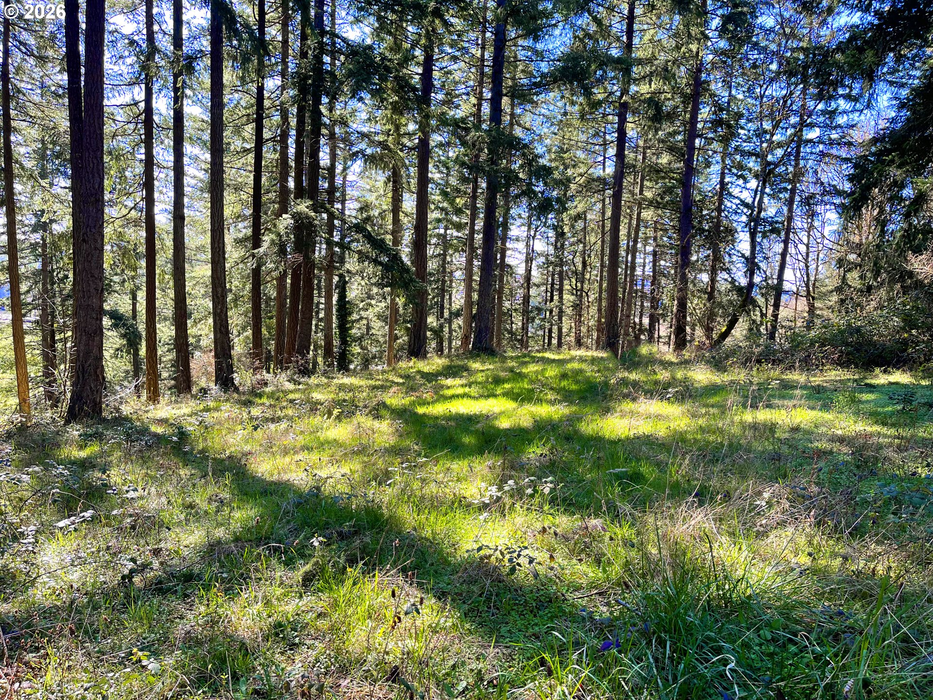 29358 South Salo Road Mulino, OR 97042 - Photo 39 of 47 Gallery Image 39