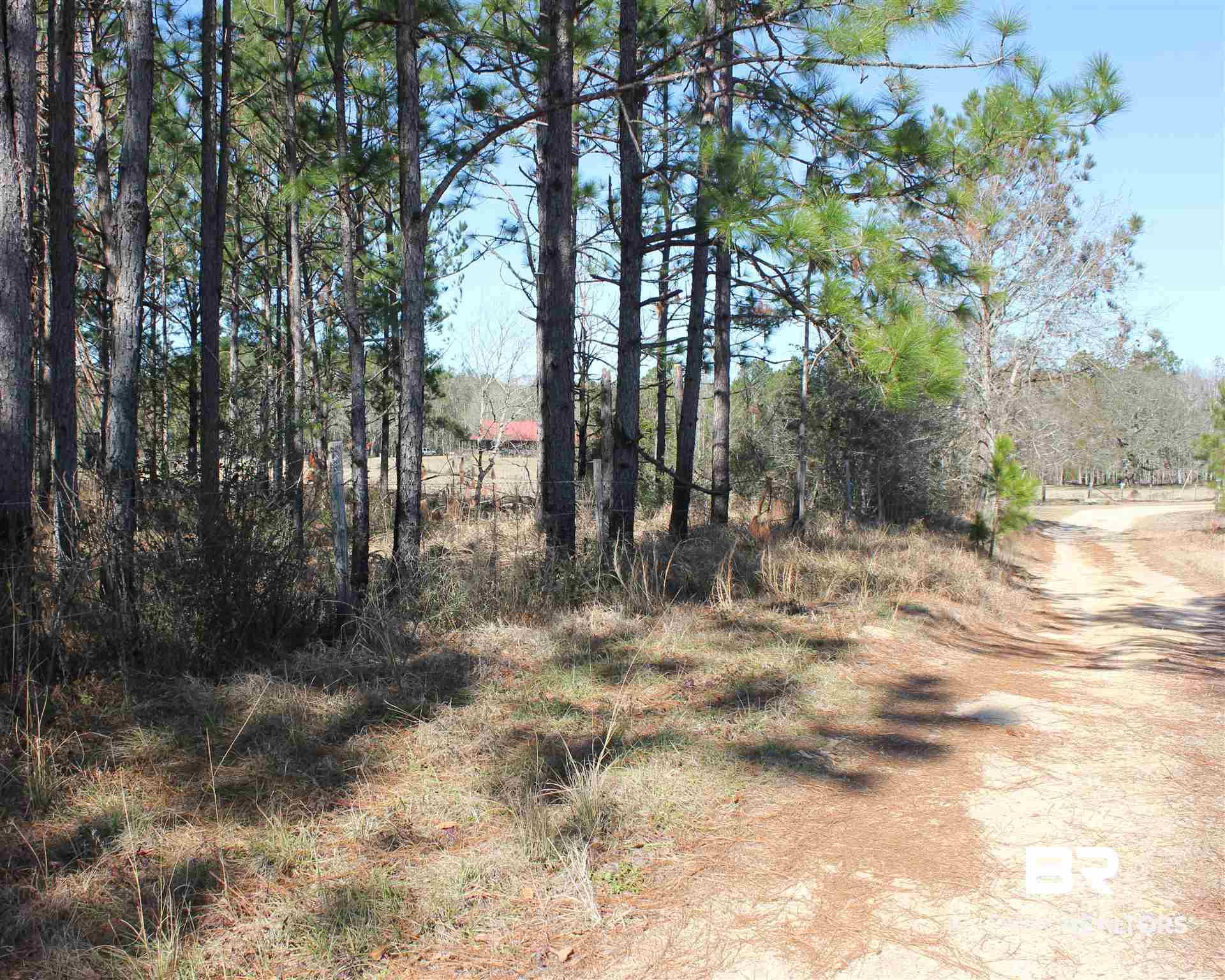 28141 B New Hope Church Road Robertsdale, AL 36567 - Photo 5 of 6