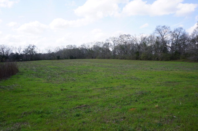 0 West Saunders Road Dothan, AL 36301 - Photo 1 of 1