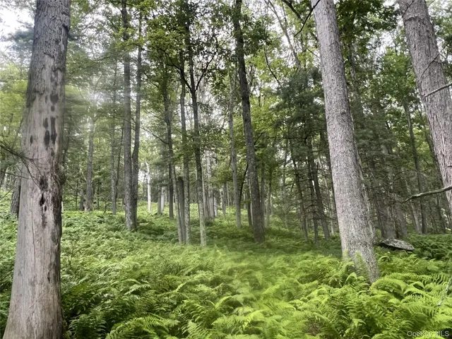 a view of outdoor space and green space