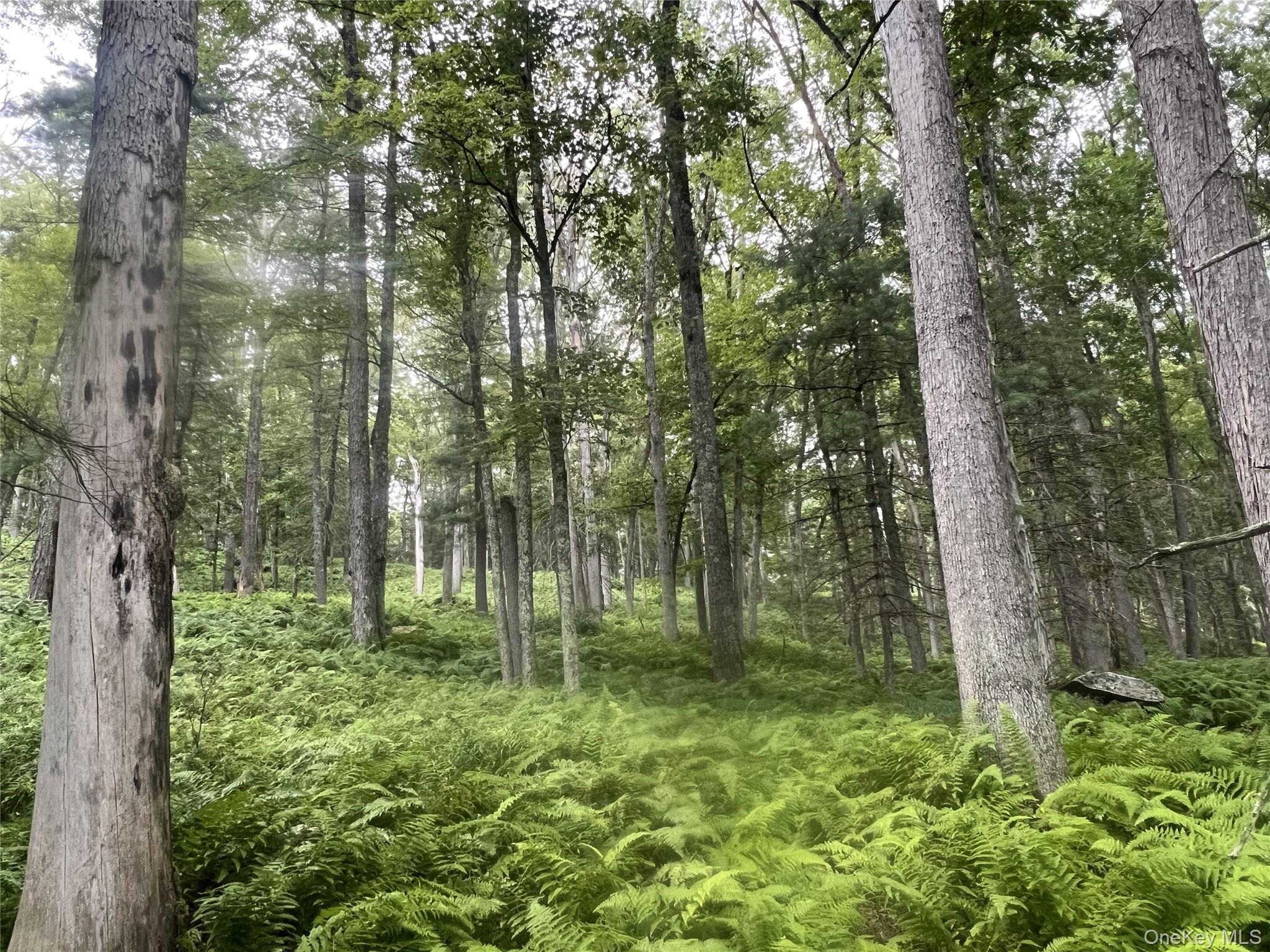 a view of outdoor space and green space