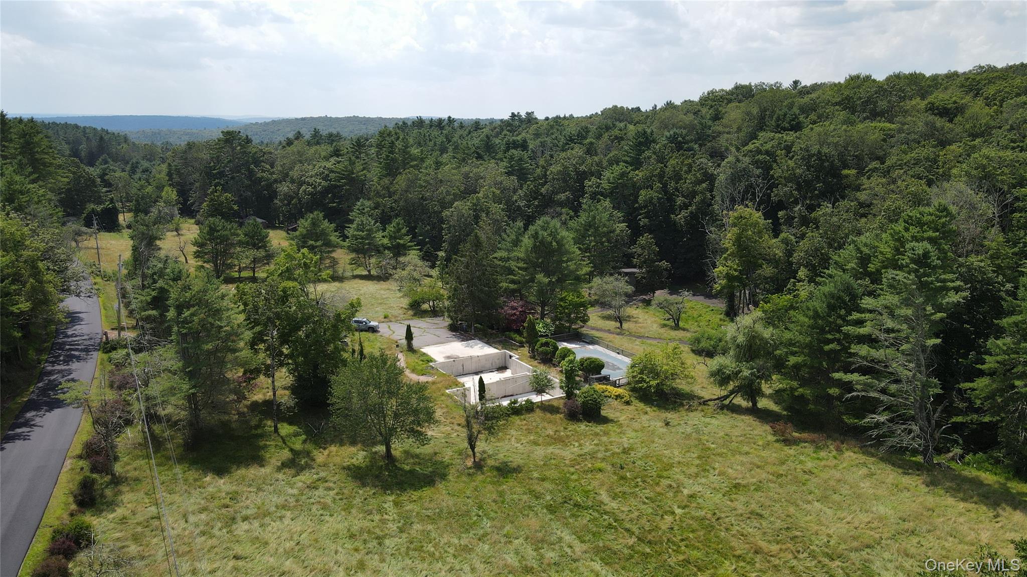 a view of a forest with trees all around