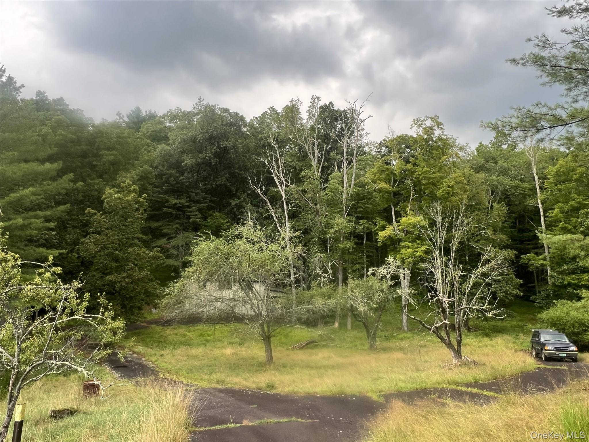 259 Lackawaxen Road Narrowsburg, NY 12764 - Photo 19 of 34 a view of swimming pool