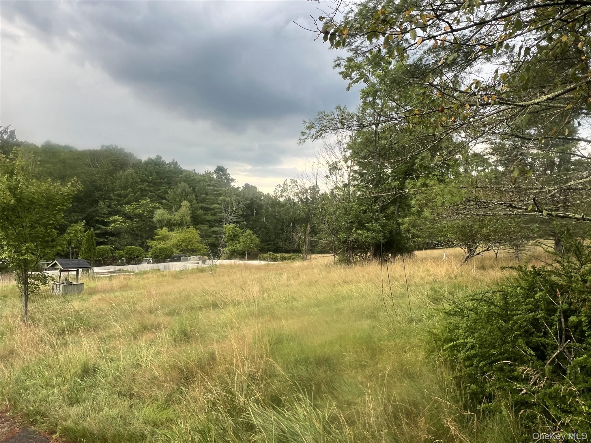 259 Lackawaxen Road Narrowsburg, NY 12764 - Photo 23 of 34 a view of ocean view