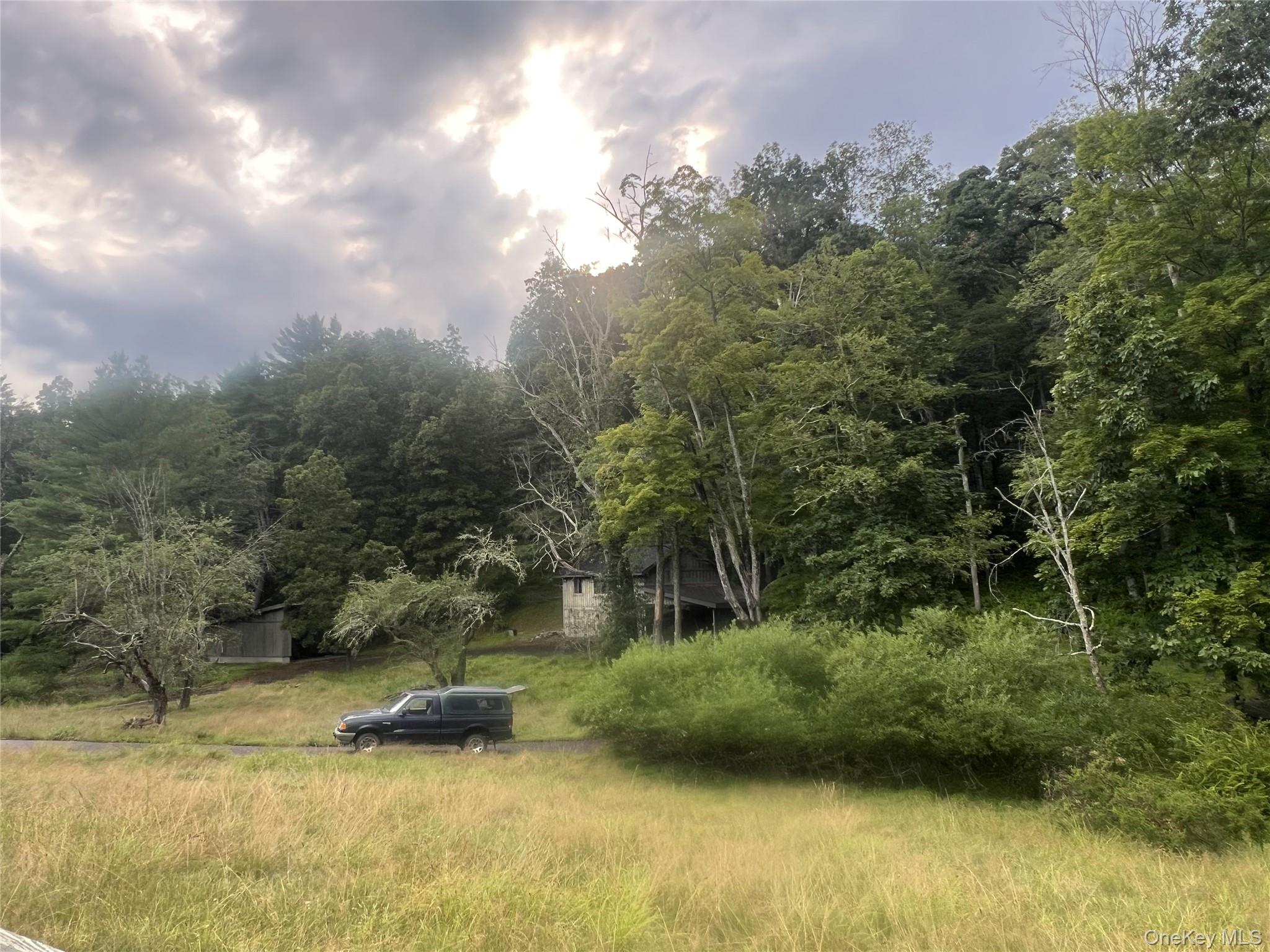 259 Lackawaxen Road Narrowsburg, NY 12764 - Photo 24 of 34 a view of a yard