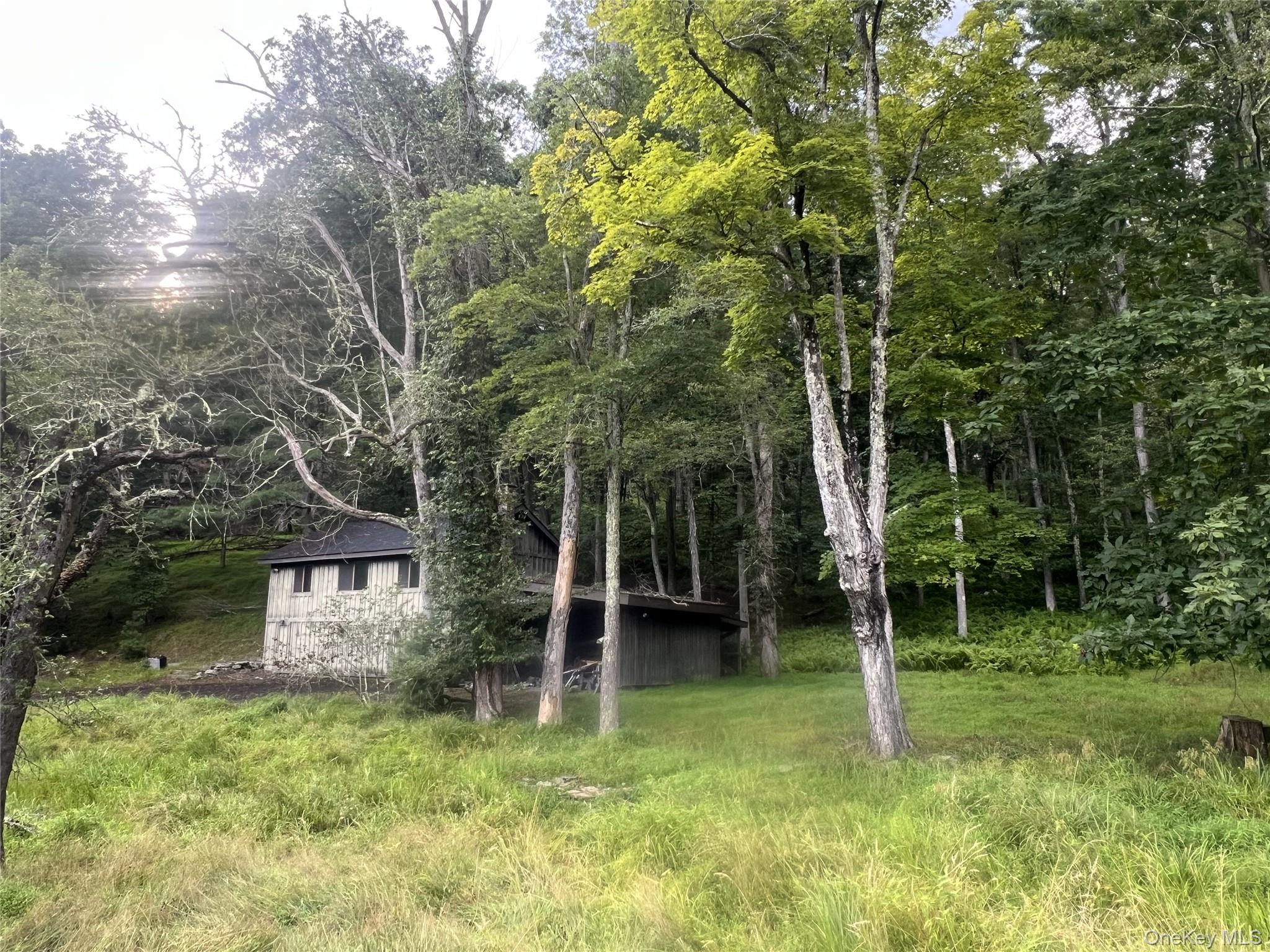 259 Lackawaxen Road Narrowsburg, NY 12764 - Photo 25 of 34 a backyard of a house with lawn chairs and a large tree