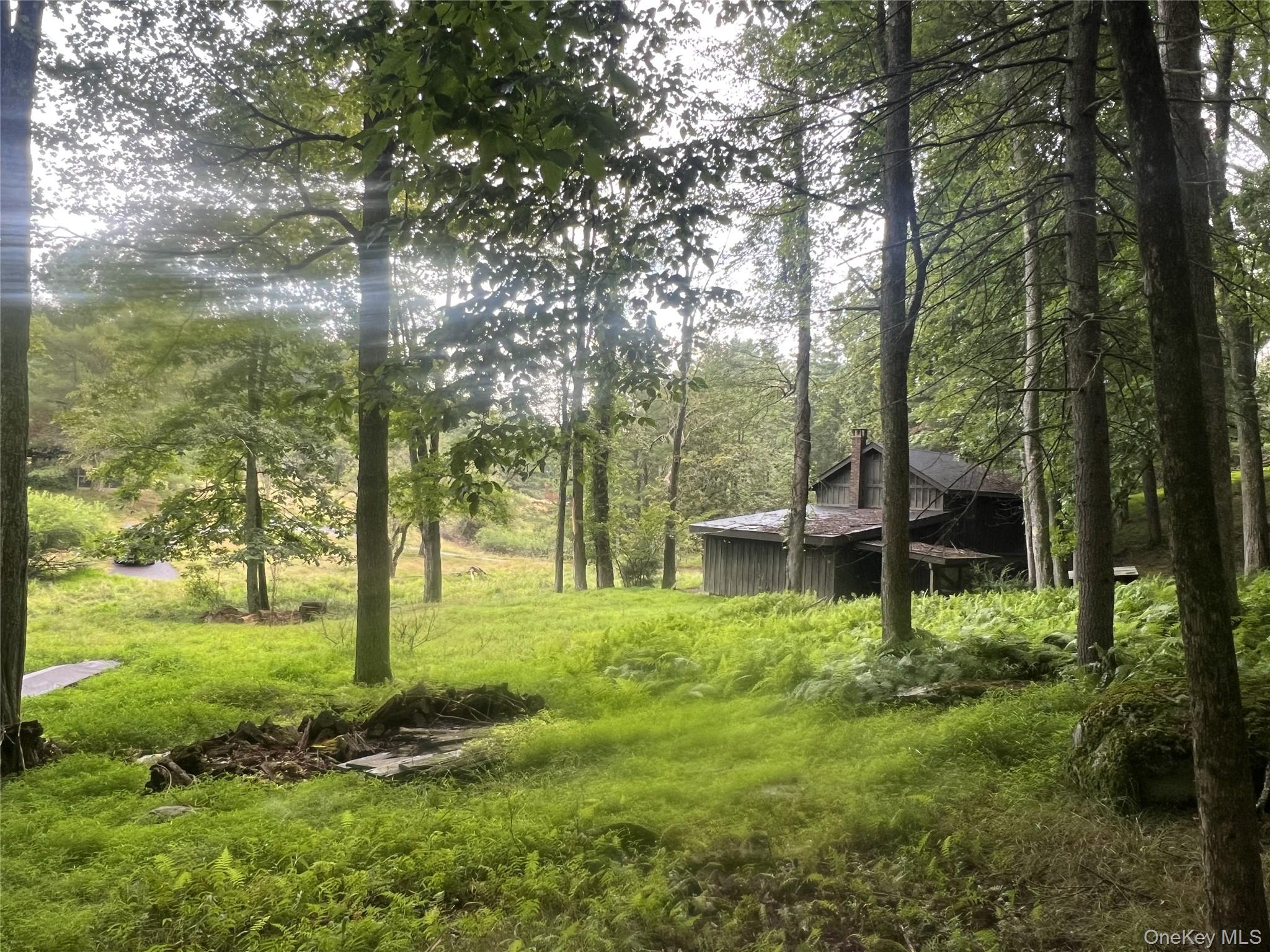 259 Lackawaxen Road Narrowsburg, NY 12764 - Photo 27 of 34 a view of a garden