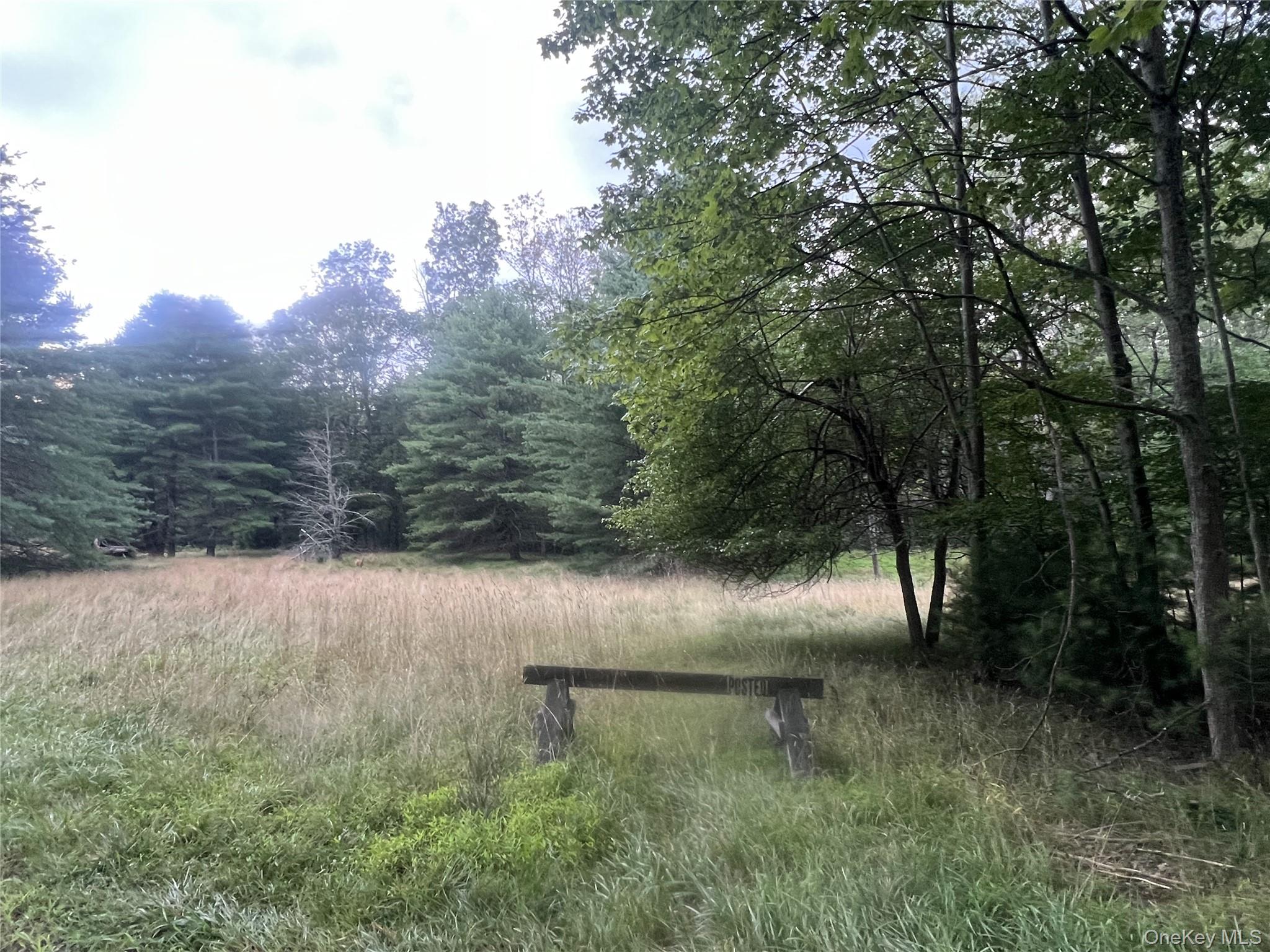 259 Lackawaxen Road Narrowsburg, NY 12764 - Photo 30 of 34 a view of outdoor space and yard