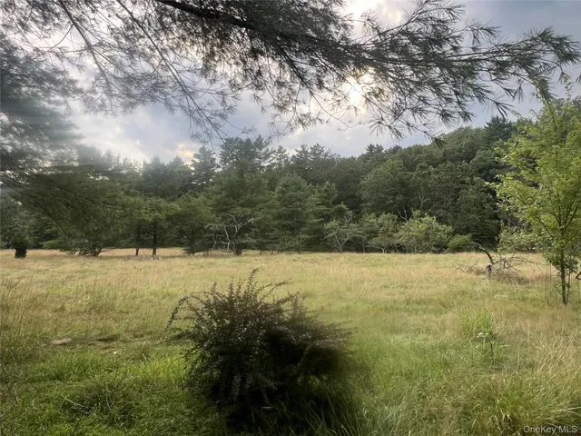 a view of outdoor space and yard
