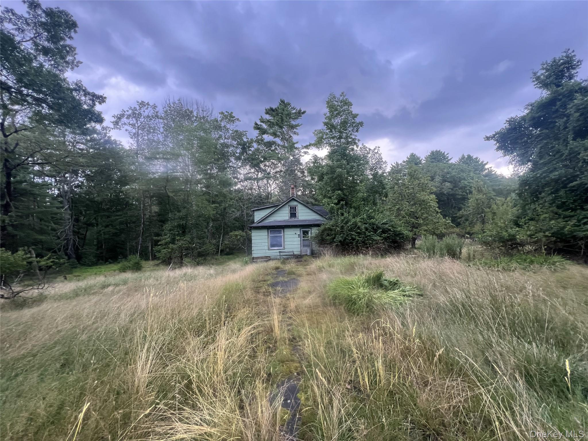 259 Lackawaxen Road Narrowsburg, NY 12764 - Photo 31 of 34 a view of a yard