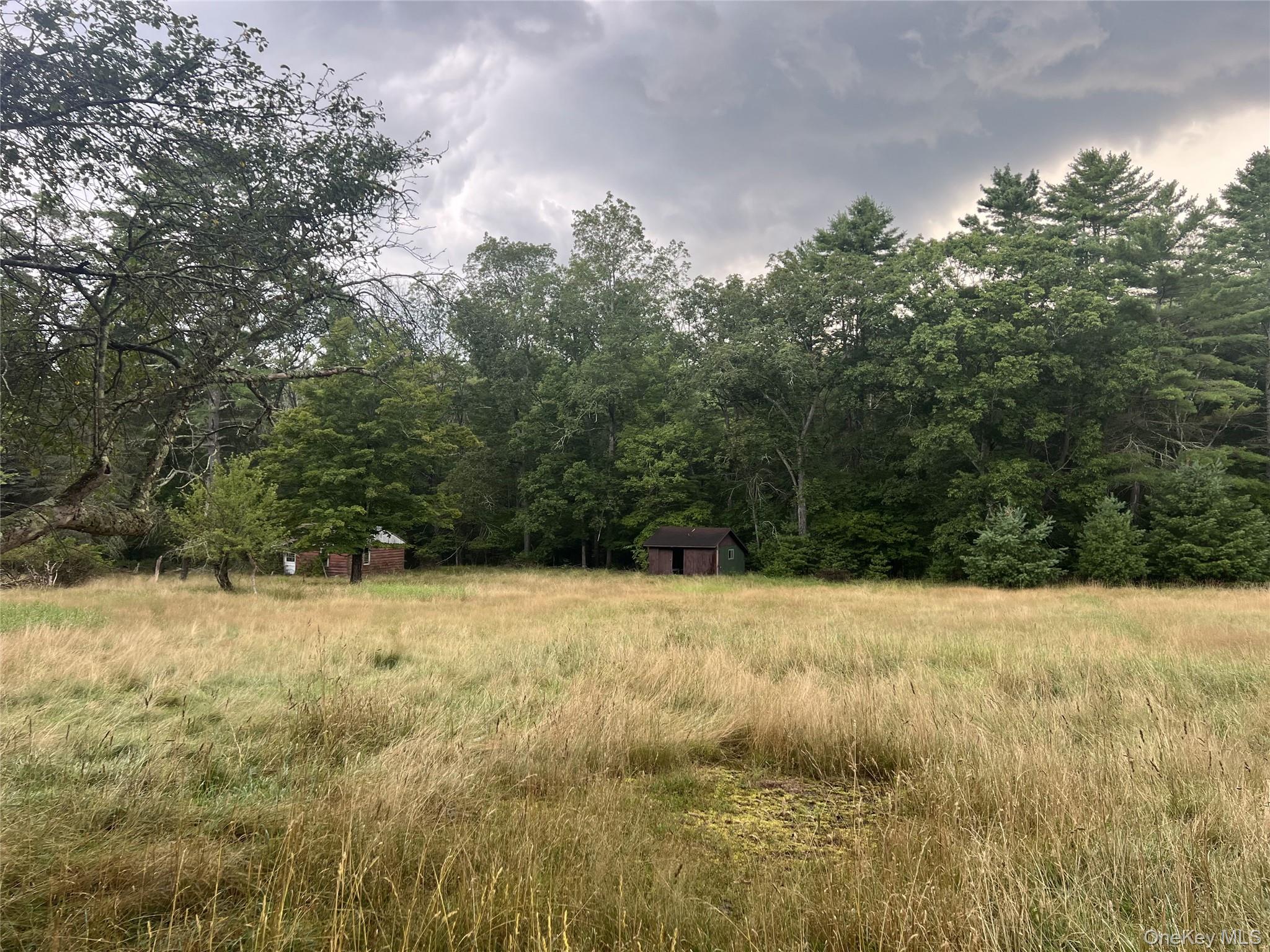 259 Lackawaxen Road Narrowsburg, NY 12764 - Photo 4 of 34 a view of a yard with a tree