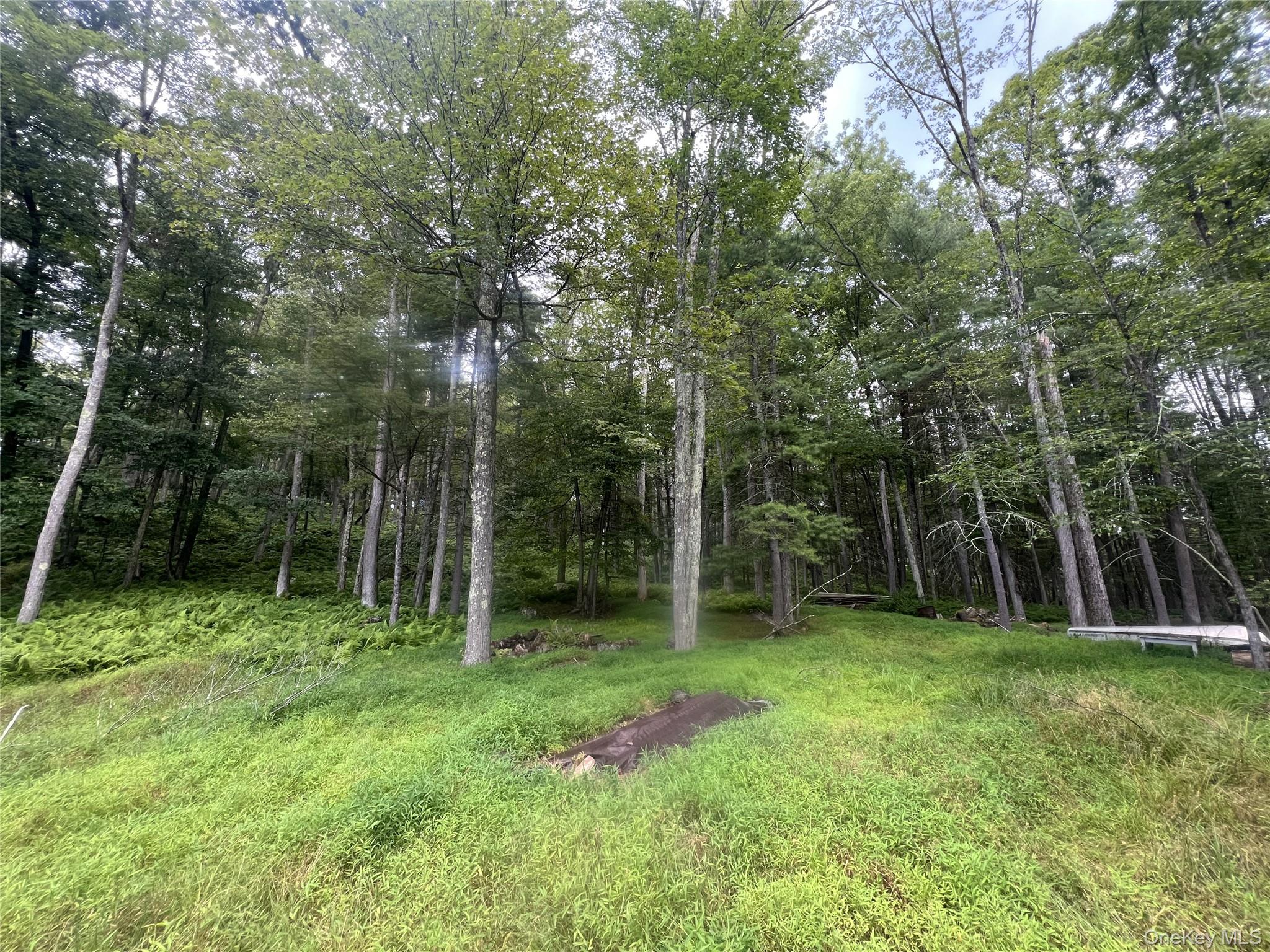 259 Lackawaxen Road Narrowsburg, NY 12764 - Photo 8 of 34 a view of outdoor space with green field and trees