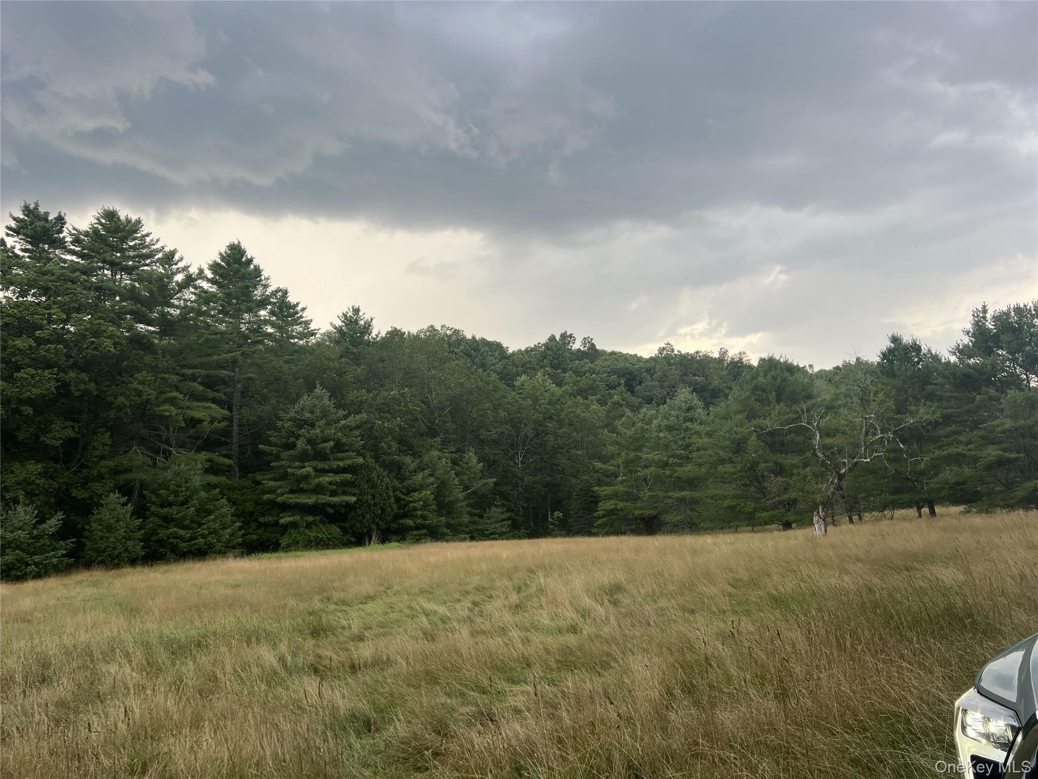 259 Lackawaxen Road Narrowsburg, NY 12764 - Photo 10 of 34 a view of a outdoor space with mountain view