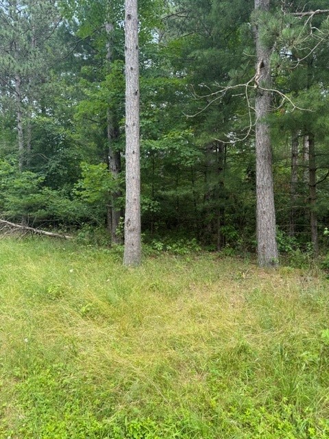 0 West Road Black River Falls, WI 54615 - Photo 2 of 43