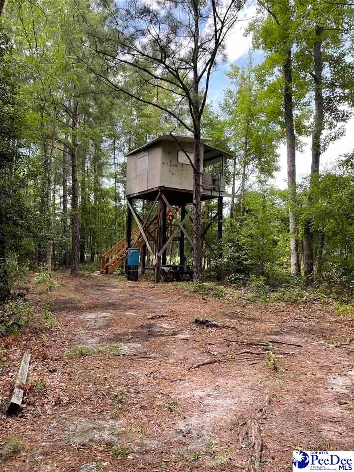 0 Twin Church Road Timmonsville, SC 29161 - Photo 1 of 20 Gallery Image 1