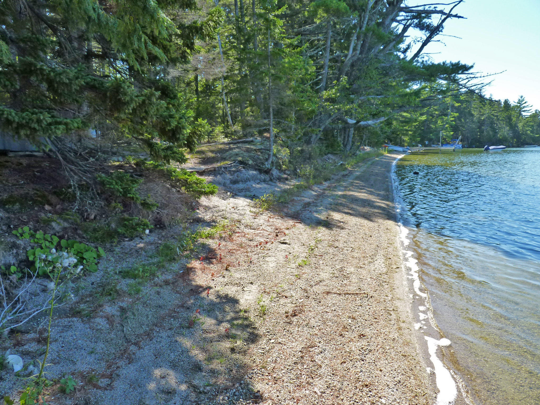0 Bunker's Beach Road Franklin, ME 04634 - Photo 1 of 12 1a