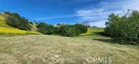 a view of a yard with an trees