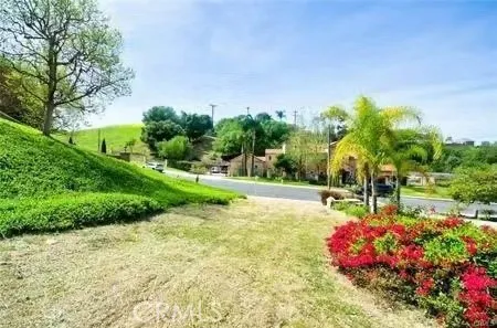 a view of a garden with plants and large trees