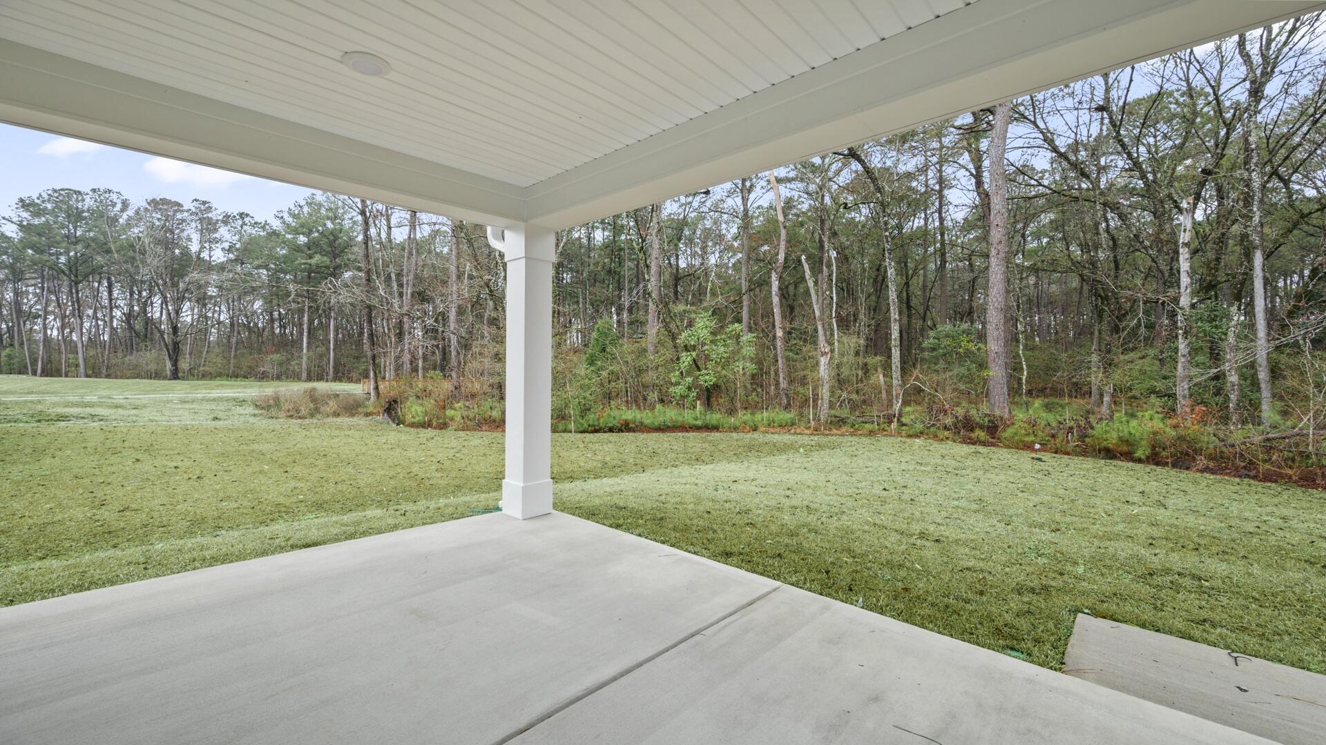 416 Cadbury Loop Summerville, SC 29486 - Photo 4 of 24 Rear Porch
