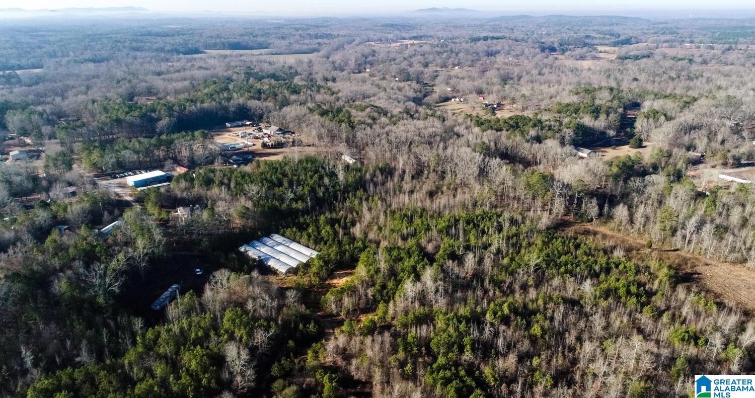 203 Racers Lane, Unit 1 Oxford, AL 36203 - Photo 13 of 21