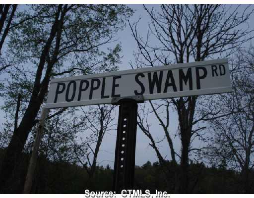 0 Popple Swamp Road Cornwall, CT 06753 - Photo 1 of 1 Land/Lot. property located on corner of West and Popple Swamp