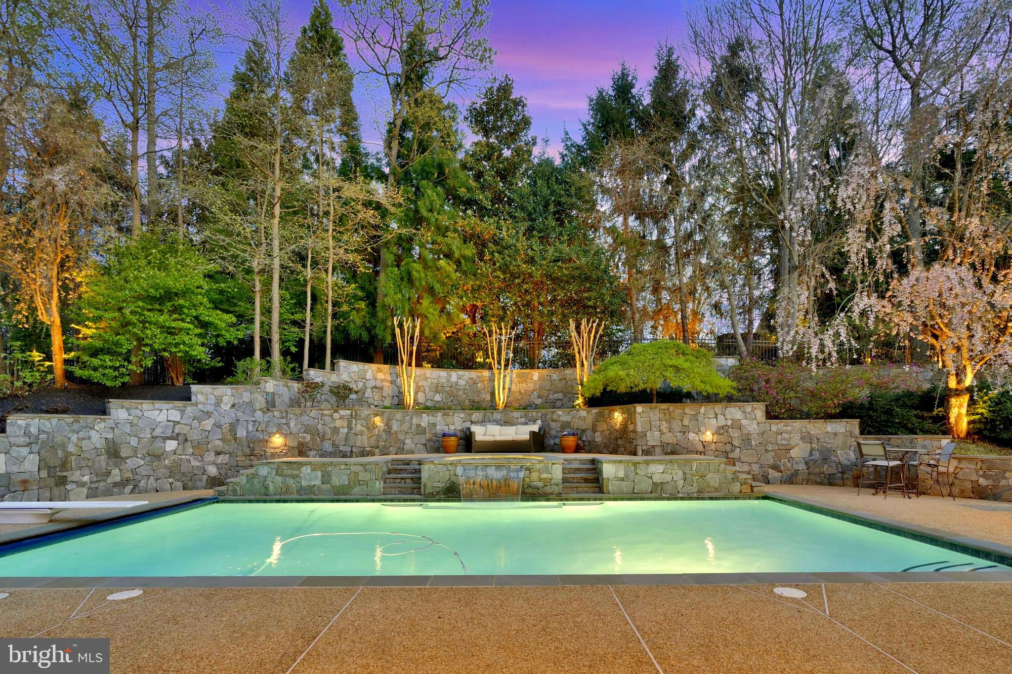 1029 Founders Ridge Lane McLean, VA 22102 - Photo 2 of 71 a view of yard with tree in the background