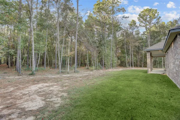 $4,500 | 1619 Last Chisos Lane, Montgomery, TX 77316