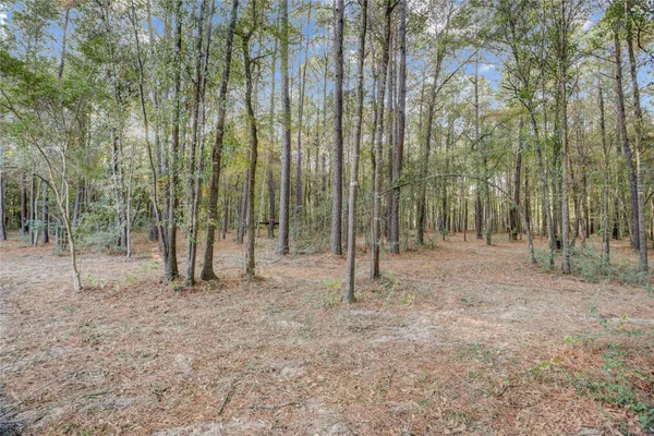 $4,500 | 1619 Last Chisos Lane, Montgomery, TX 77316